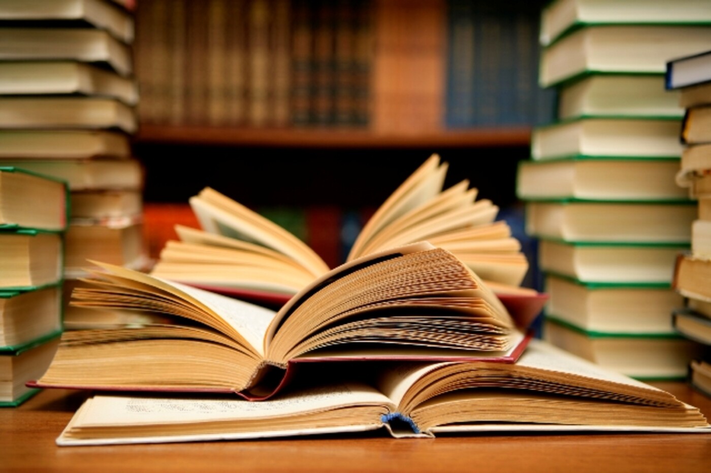 Zomerspecial: Bureau Buitenland boekenrecensenten