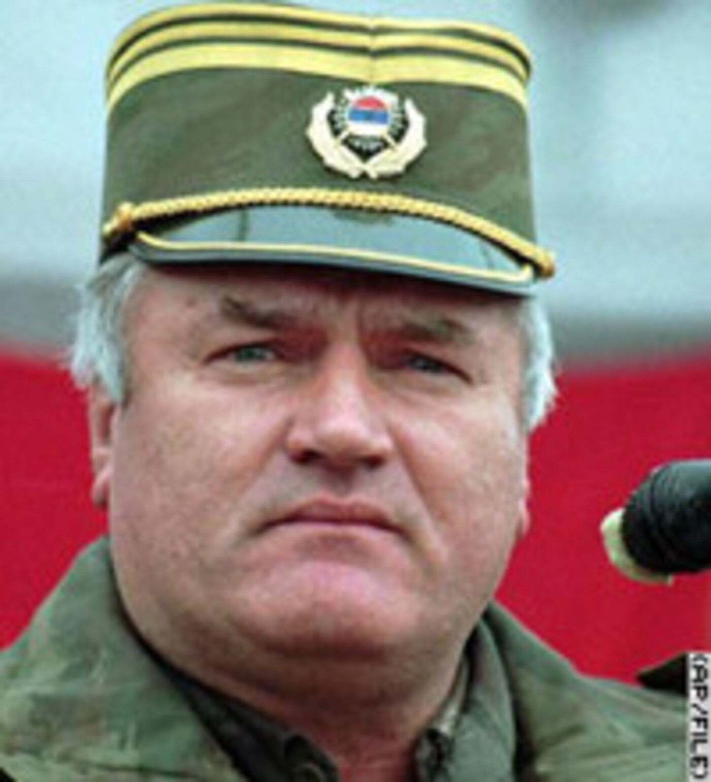 De jacht op Radovan Karadžić en Ratko Mladić (4)