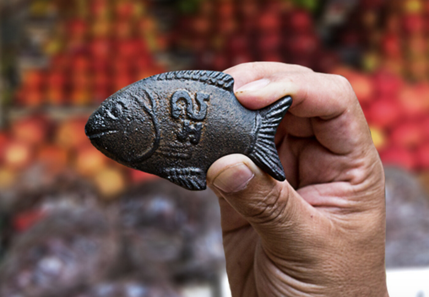 Lucky Iron Fish