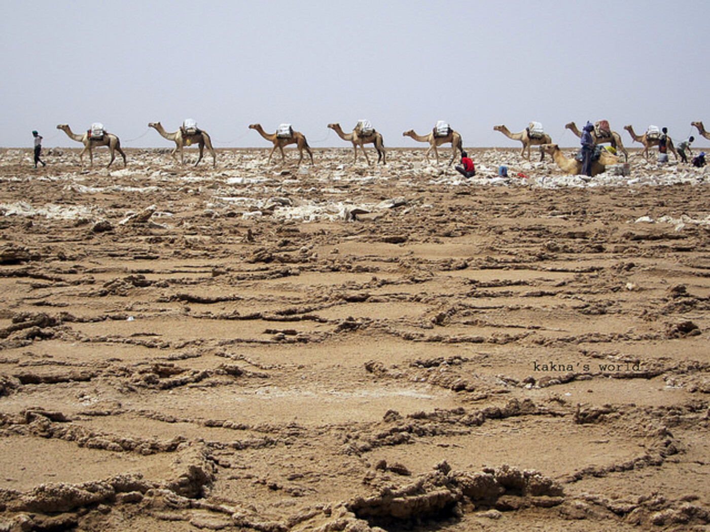 Ergste droogte in tien jaar in Ethiopië