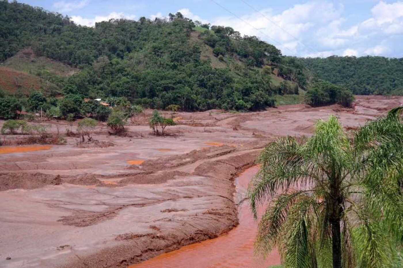 Reportage: mijnramp in Brazilië