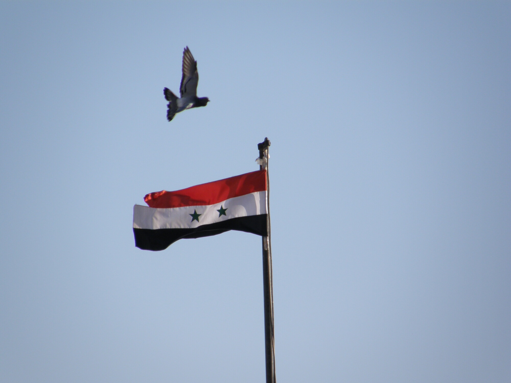 Hongersnood in Syrisch Madaya