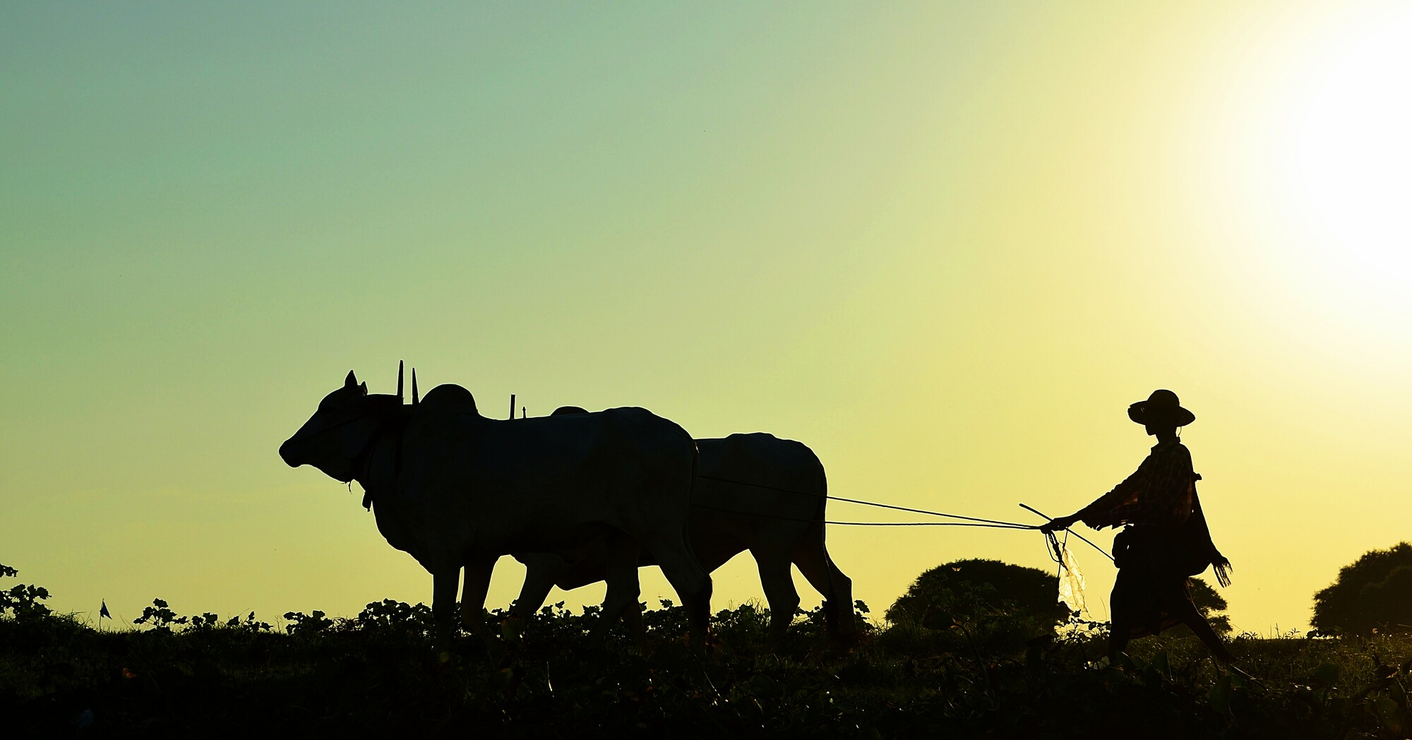 Birma: de 'new frontier'