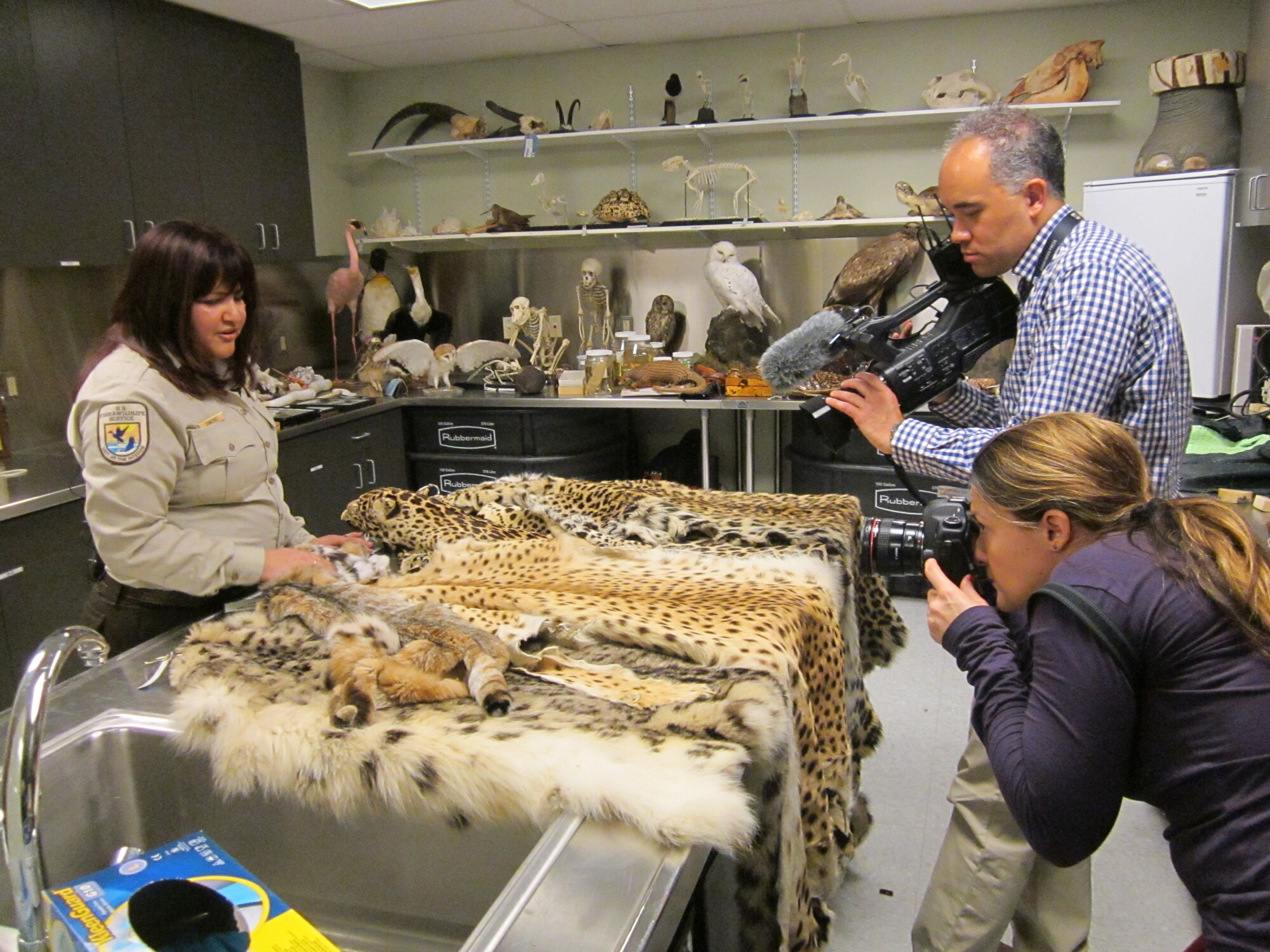 In de tang bij Poetin; Illegale handel in wildlife