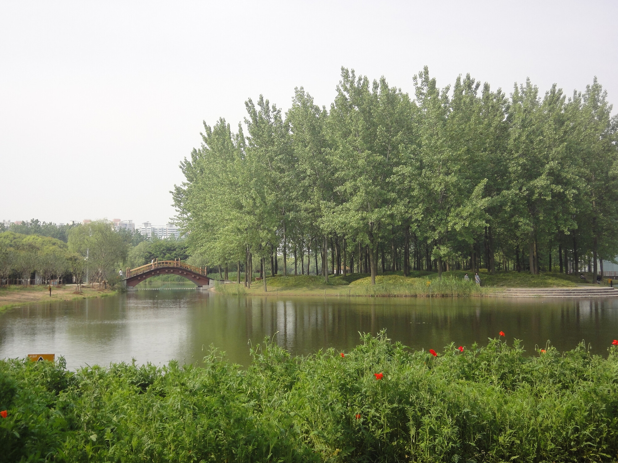 Sounds of Shanghai 4