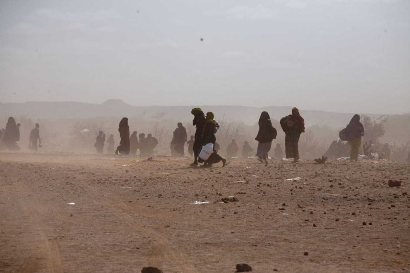 Grote droogte in Afrika