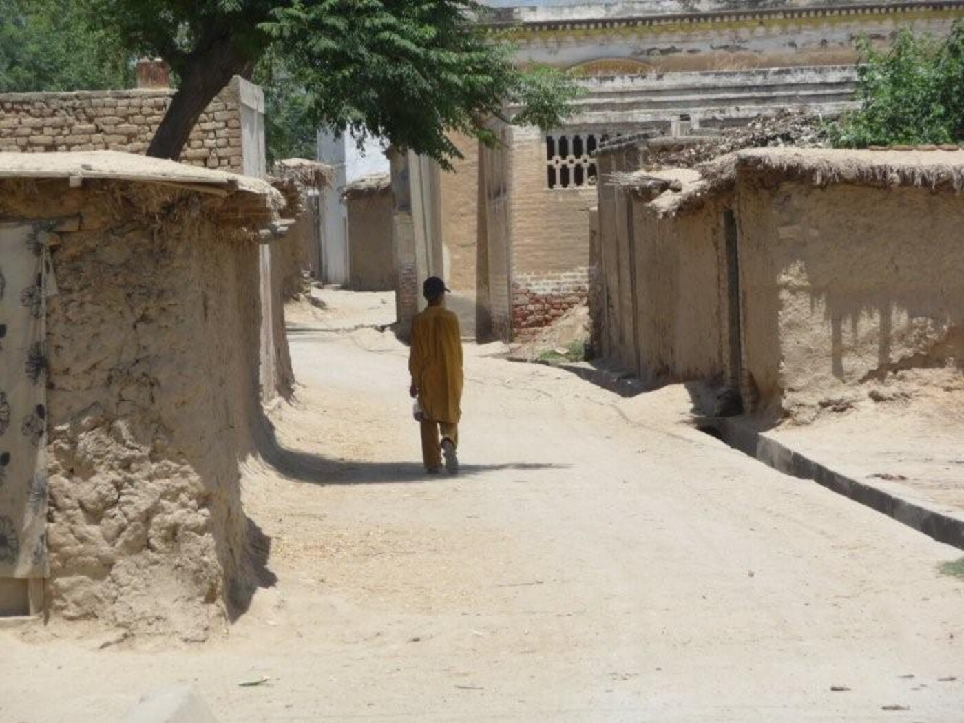 De kinderen van de Taliban