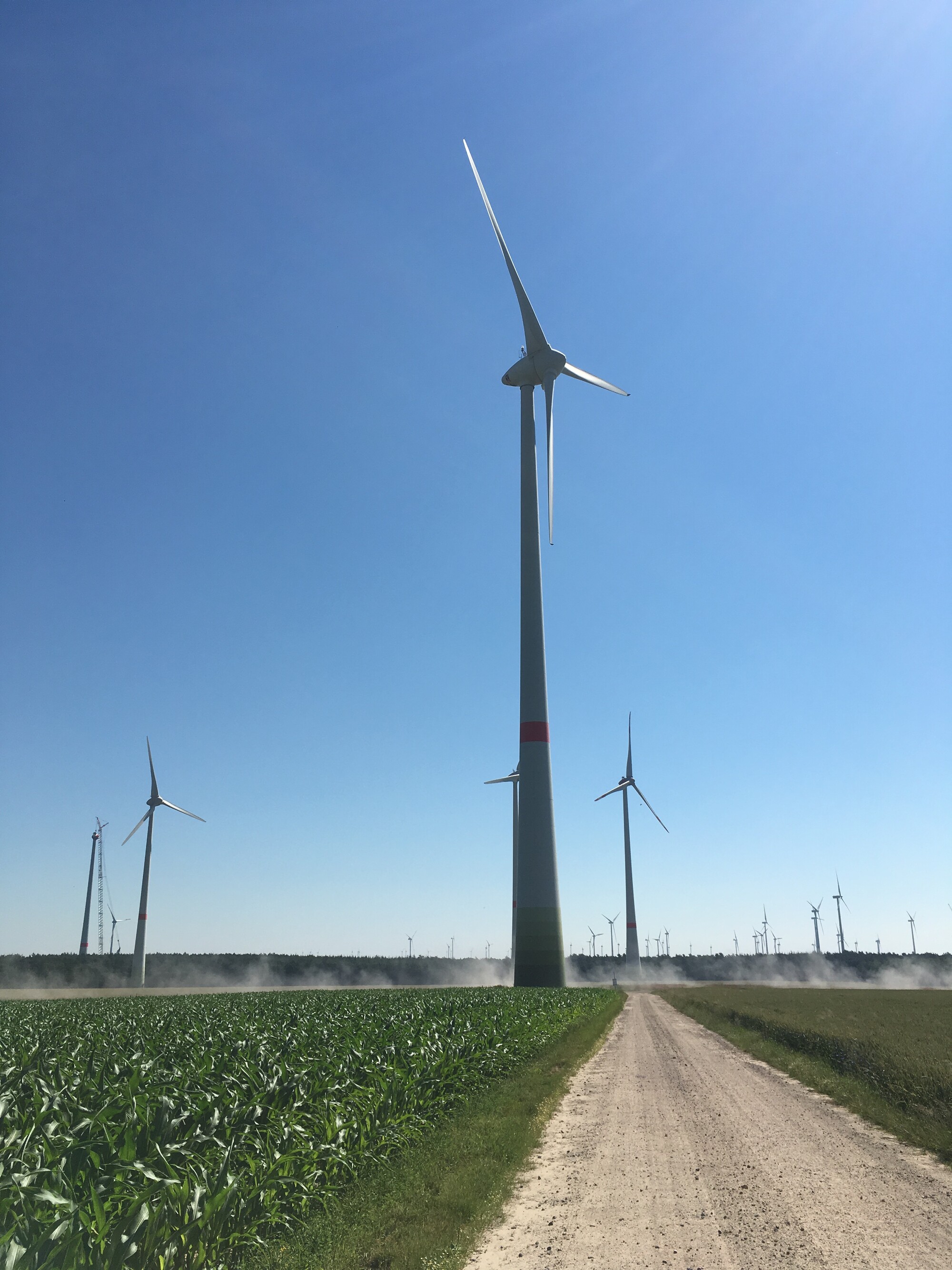 Europa Estafette: Het groene Feldheim