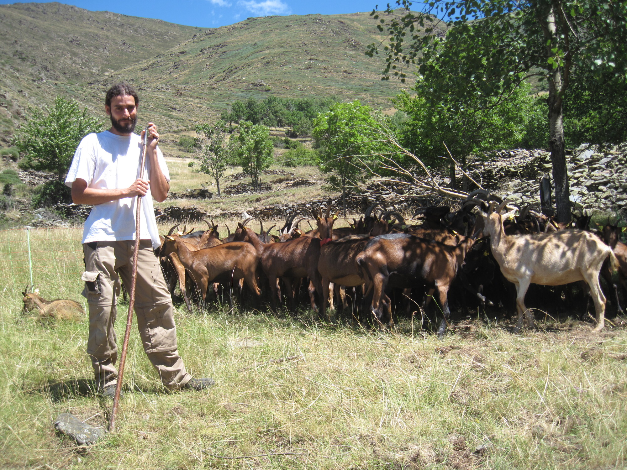 Europa Estafette: Herdersschool in de Pyreneeën