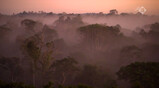 Klimaatjagers in de klas: Verdroging van het Amazone-regenwoud