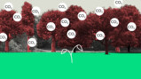 Hoe groen is biomassa?