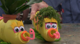 Hoppatee!: Hoe maak je een surprise van plastic flessen?