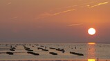 Vroege vogels in de klas : Waddeneiland Griend