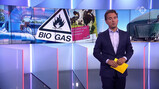 EenVandaag in de klas : Biogas als alternatief voor aardgas