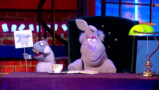 Schapen en bed