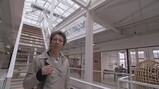 Verzekeren: hoe meer hoe beter?
