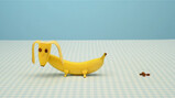 Een poepende hond gemaakt van een banaan!