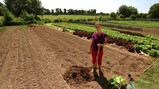 Hoe begin je een moestuin?