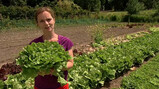 Bladgroente verbouwen