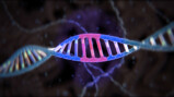 Wat is Crispr-Cas?: Knippen in je DNA