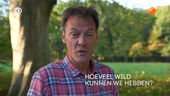 NieuwLicht