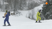 De Adriaans im Schnee