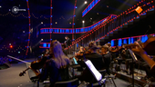 Muziekfeest van het jaar