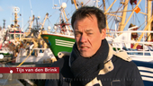 NieuwLicht