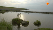 Wildernis onder water