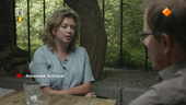 De Verwondering Levensvragen