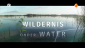 Wildernis onder water