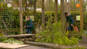 Koek & Ei Moestuin