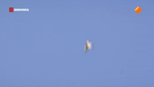 Vroege vogels
