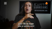De Boeddhistische Blik