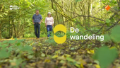 De wandeling
