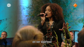 Nederland zingt op zondag