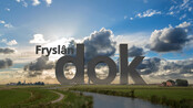 Fryslân DOK The good, the bad and the internet