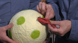 Hoppatee!: Hoe maak je een surprise van papier-maché?