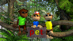 Letterjungle: De letter t: pet