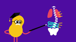 Weet Wat Ik Heb: Wat is scoliose?