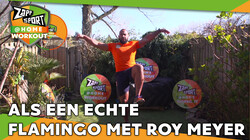 Met judoka Roy Meyer: Workout voor thuis: Dag 14 