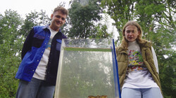 Steken en Prikken: De Geelgerande Waterroofkever