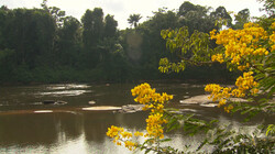 Suriname: De wereld rond