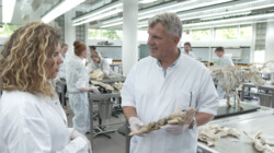 Dode dieren plastineren: Leren van dode dieren