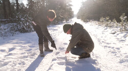 Sporen in de sneeuw: Op zoek naar sporen van reeën, hazen en vossen