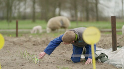 Waarom zou je je eigen groente verbouwen?: De moestuin van Erwin