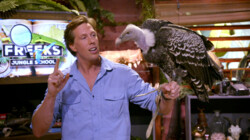 Freeks Jungle School: Gieren: Opruimers van de natuur