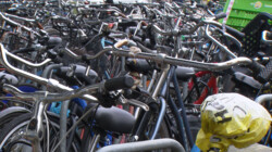 Waarom is fietsen zo populair in Nederland?: 37.000 kilometer aan fietspad