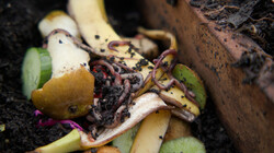 Wat is een wormenhotel?: Wormen maken van compost van gft