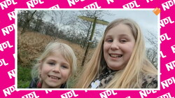 NATUUR DE LUXE: Flamingo's en veilig oversteken